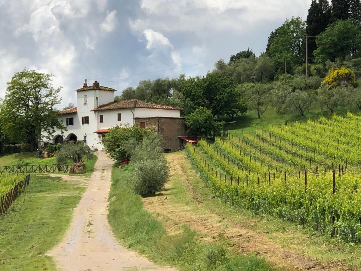 Azienda Agricola Il Poggiolino Villa Pelago Esterno foto