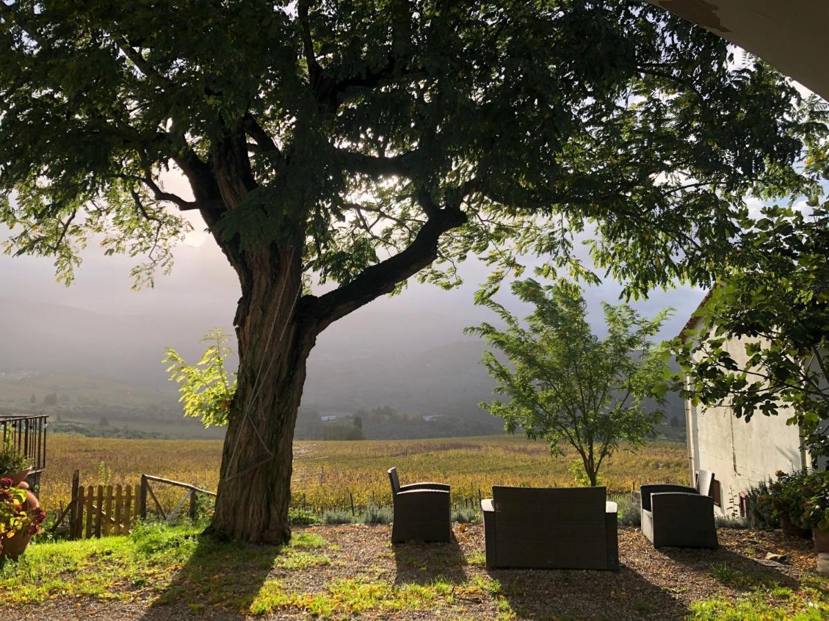 Azienda Agricola Il Poggiolino Villa Pelago Esterno foto