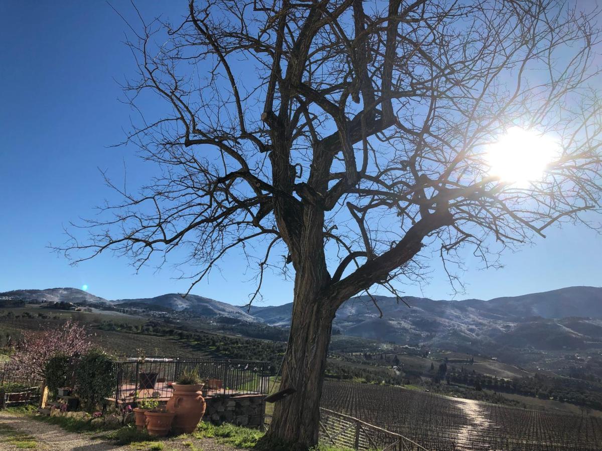 Azienda Agricola Il Poggiolino Villa Pelago Esterno foto