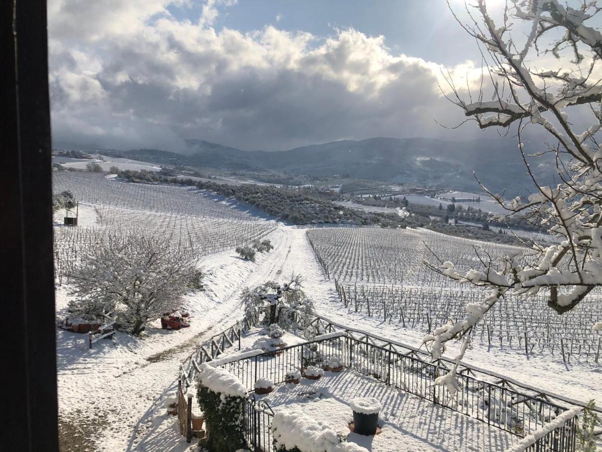 Azienda Agricola Il Poggiolino Villa Pelago Esterno foto