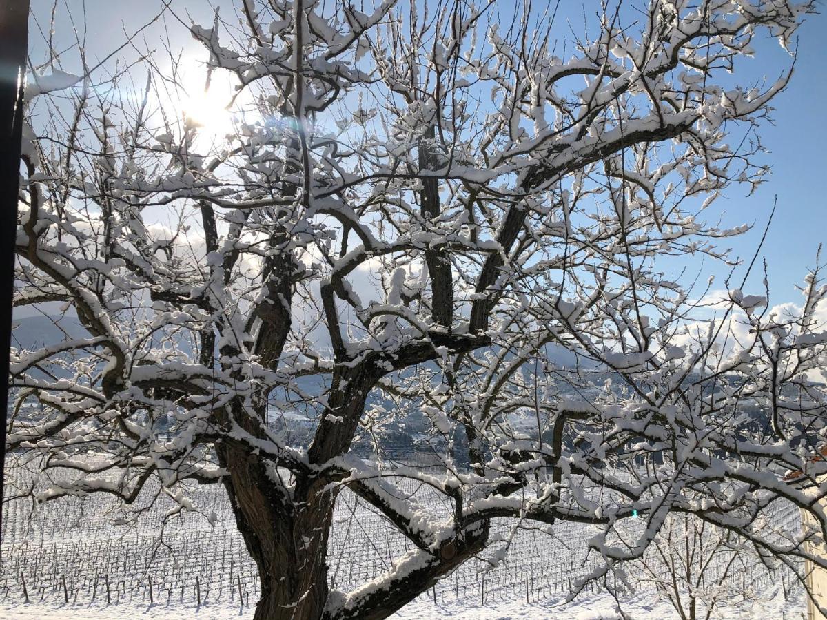 Azienda Agricola Il Poggiolino Villa Pelago Esterno foto