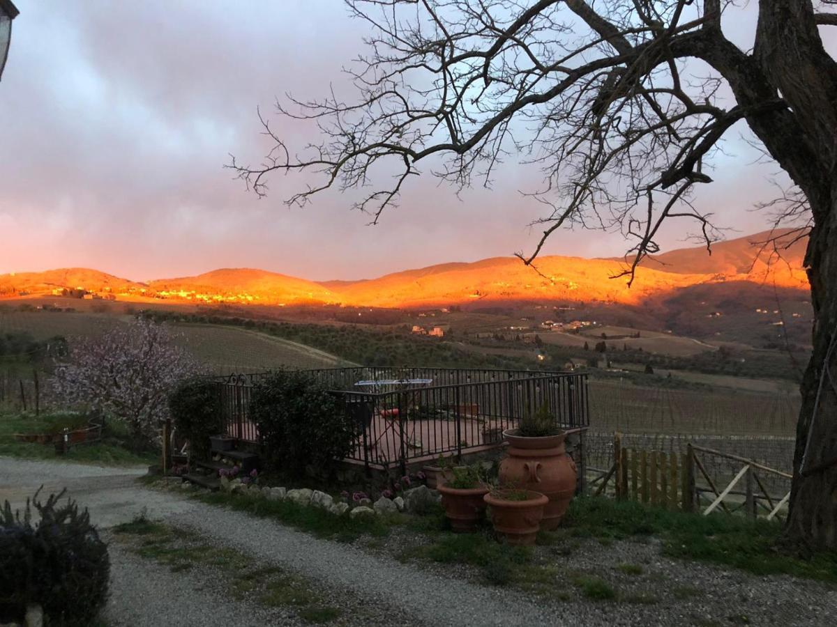 Azienda Agricola Il Poggiolino Villa Pelago Esterno foto