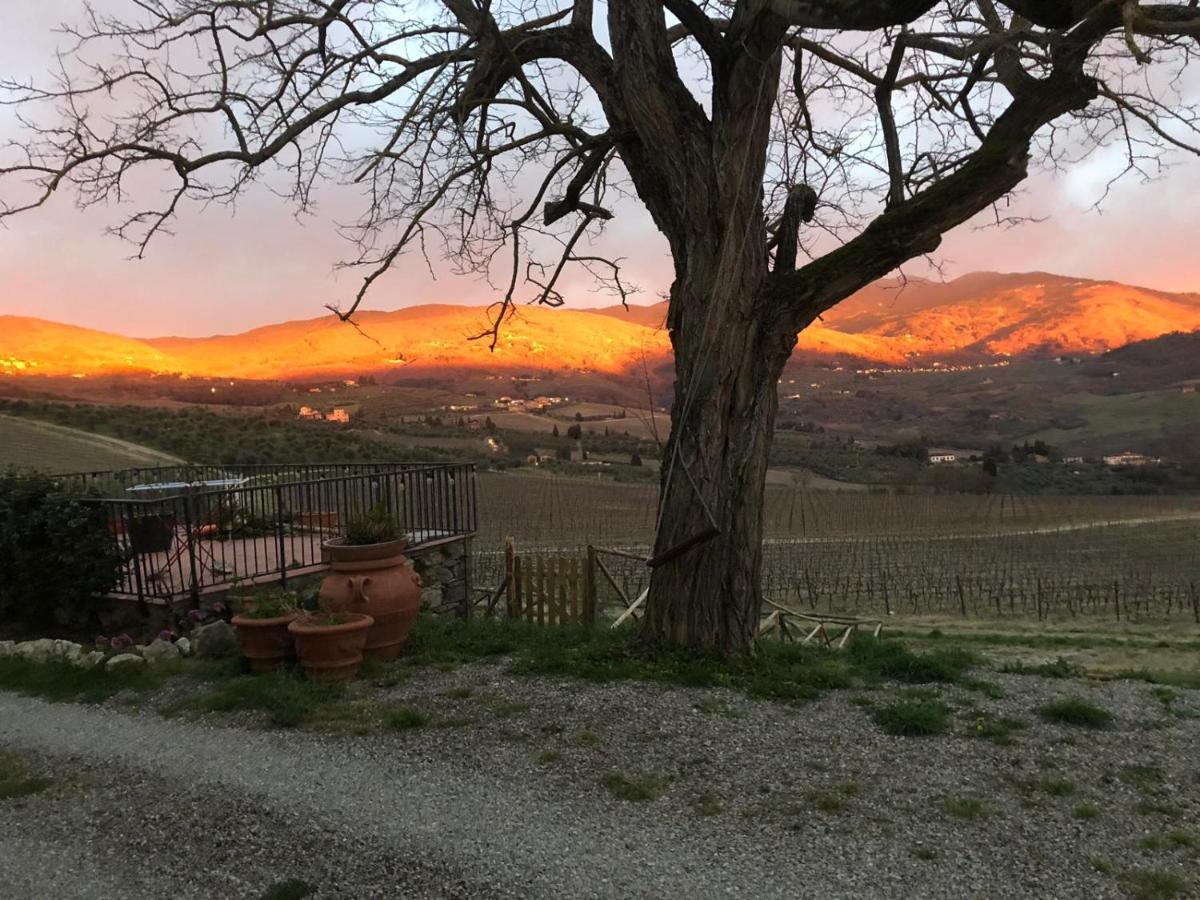 Azienda Agricola Il Poggiolino Villa Pelago Esterno foto