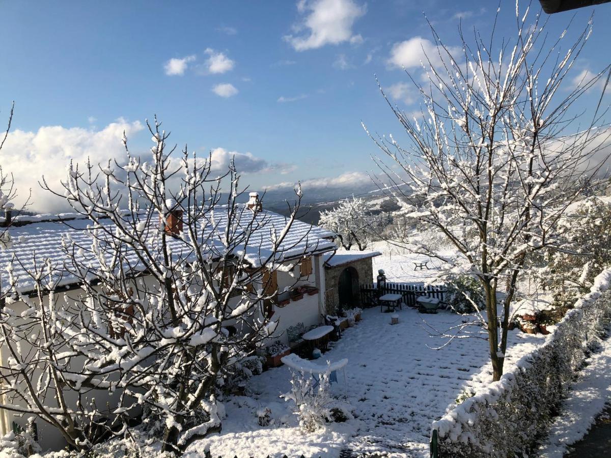 Azienda Agricola Il Poggiolino Villa Pelago Esterno foto