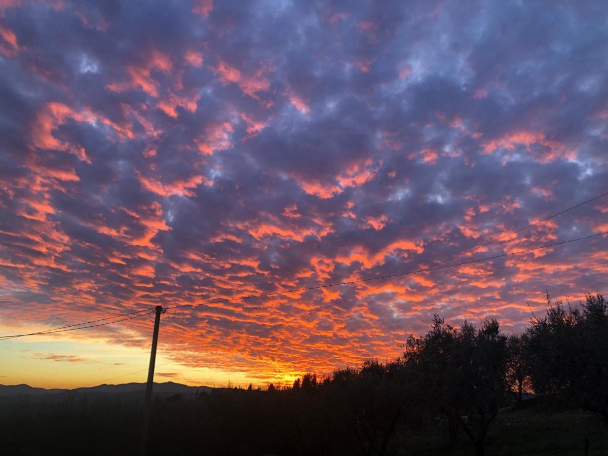 Azienda Agricola Il Poggiolino Villa Pelago Esterno foto