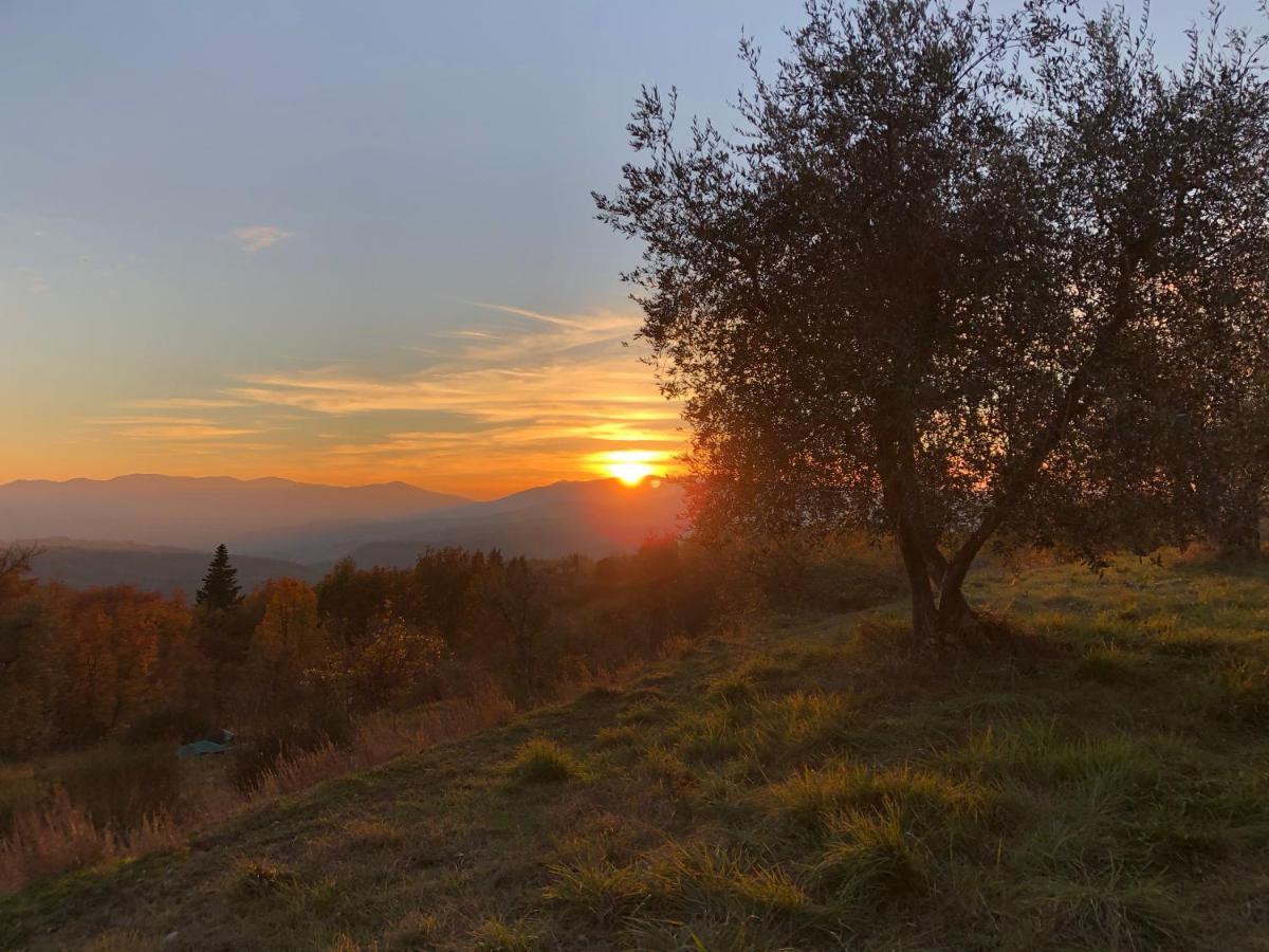 Azienda Agricola Il Poggiolino Villa Pelago Esterno foto