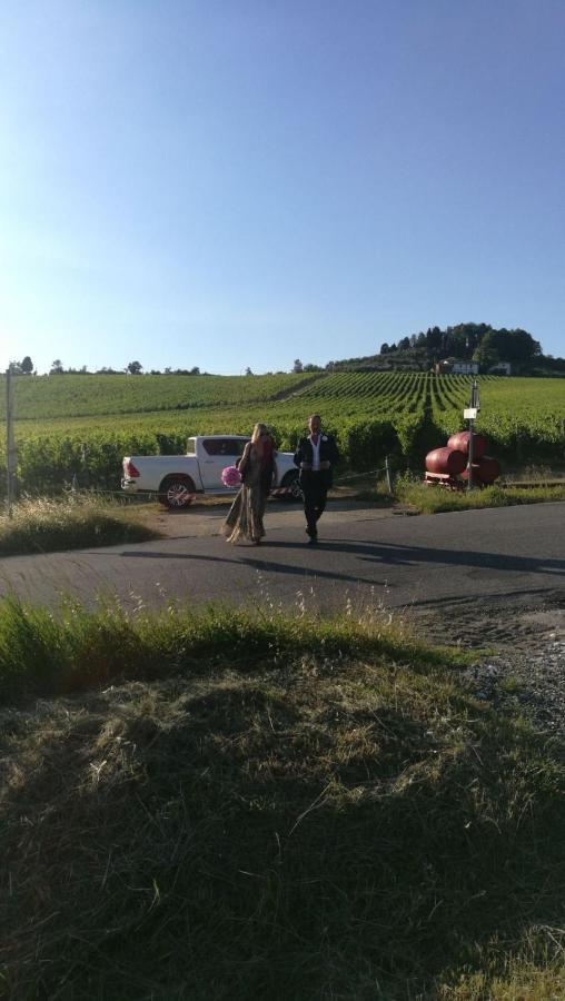 Azienda Agricola Il Poggiolino Villa Pelago Esterno foto