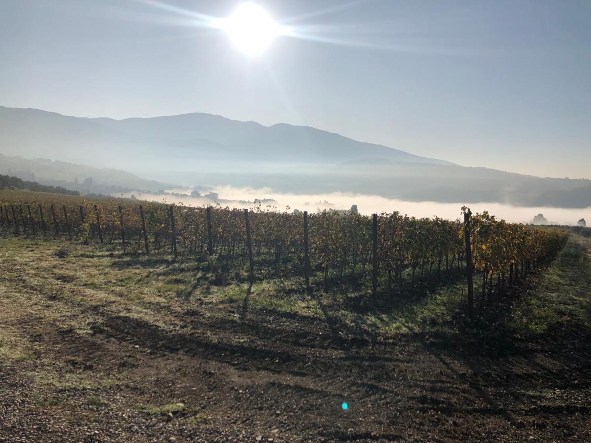 Azienda Agricola Il Poggiolino Villa Pelago Esterno foto