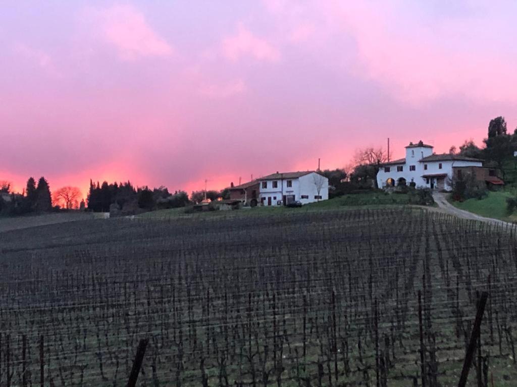 Azienda Agricola Il Poggiolino Villa Pelago Esterno foto