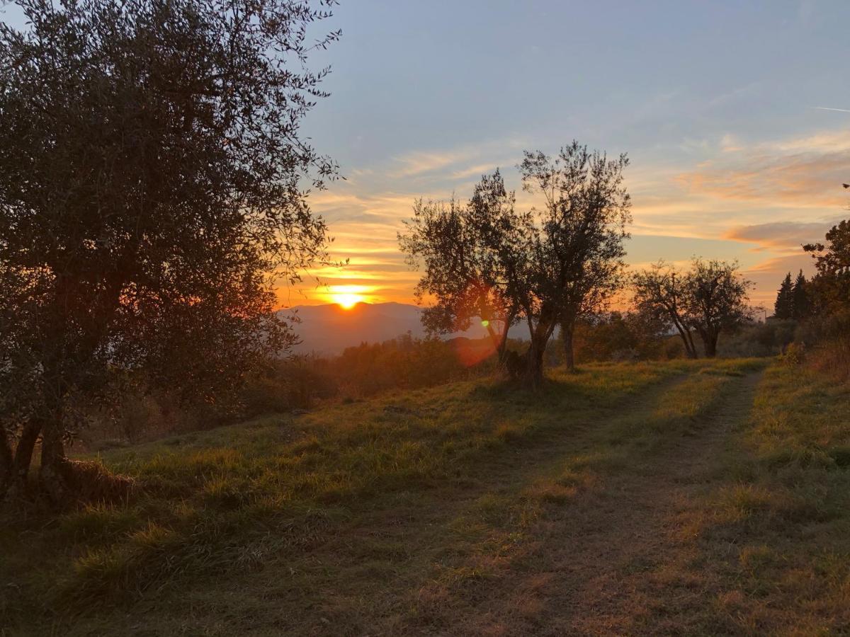 Azienda Agricola Il Poggiolino Villa Pelago Esterno foto